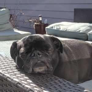 Meet your Posher, Kathryn